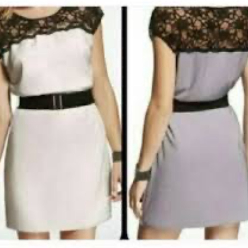 Express Cream, Gray and Black Belted Dress, Size Small NWT Elegant Work Dress